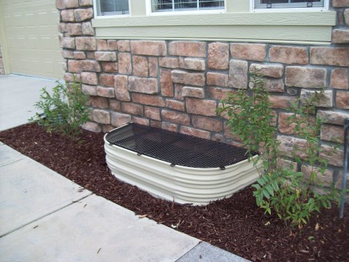 black window well cover and plants